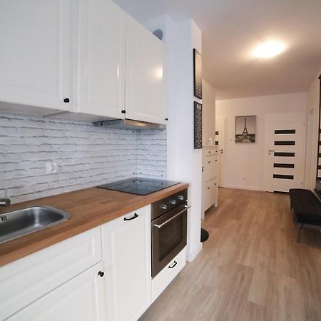 Apartament Paris コウォブジェク エクステリア 写真